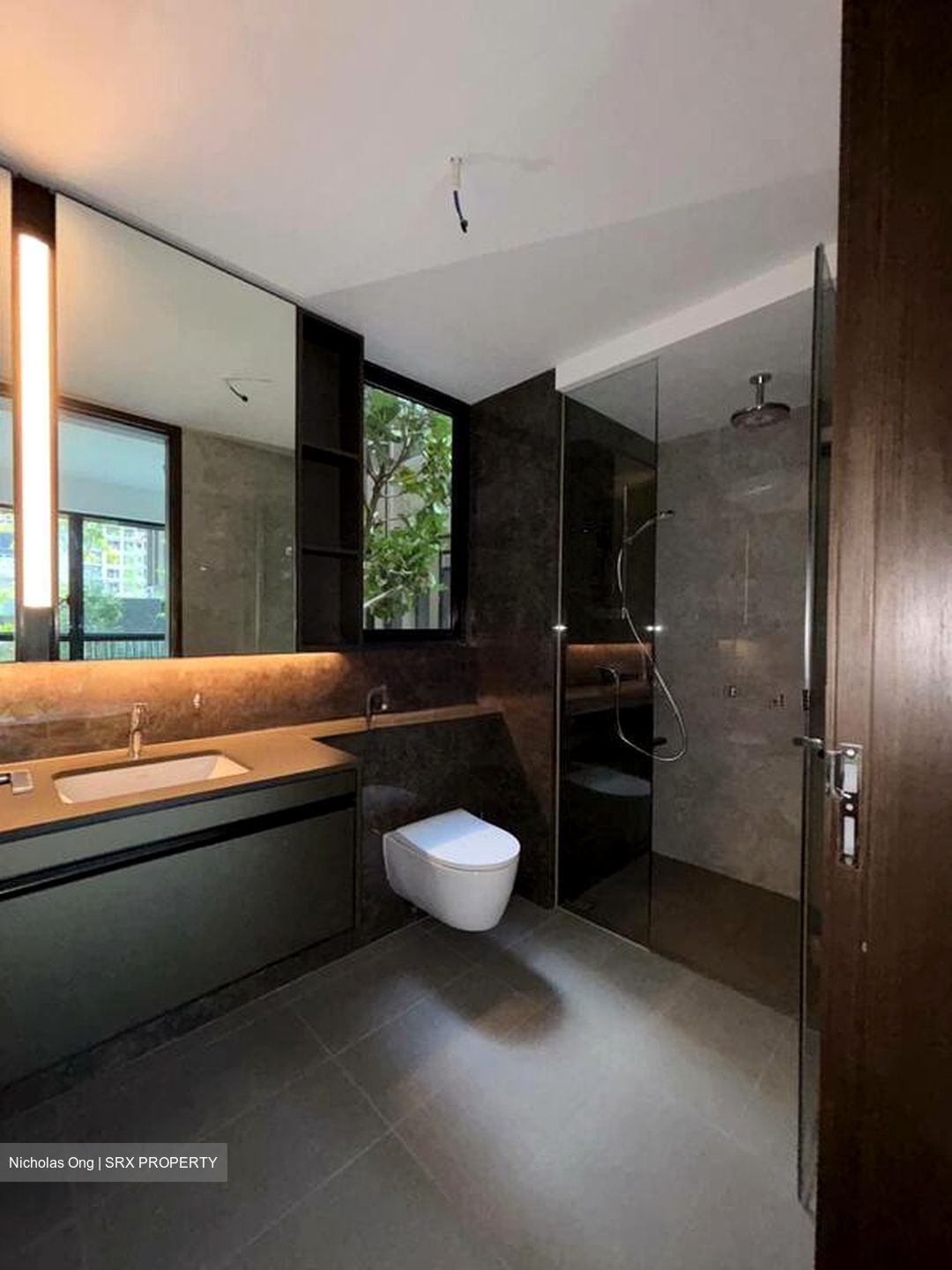 Tembusu Grand (D15), Condominium #523704621